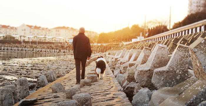 我梦见爷爷回家有什么预兆，梦见已故爷爷回家代表什么图2