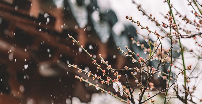 梦见下雪了意味着什么，梦见外面下雪了是什么意思图2