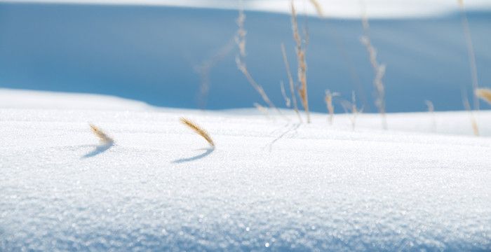 梦见下雪是要戴孝吗，春天梦见下雪是要戴孝图2