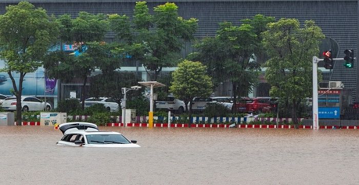 孕妇梦见涨水图1