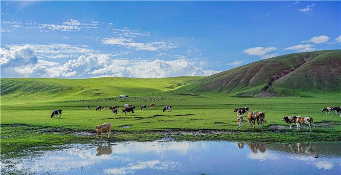 恩泽大地打一生肖，雨露和什么生肖有关图2