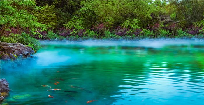 梦见池塘水干了见底了有好多鱼，梦见池塘水干见到鱼的预兆是什么图2