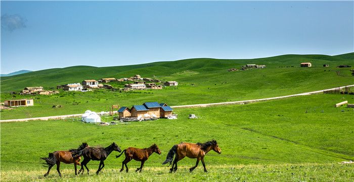 四肢有力代表什么生肖，十二生肖什么动物头脑简单四肢发达图2