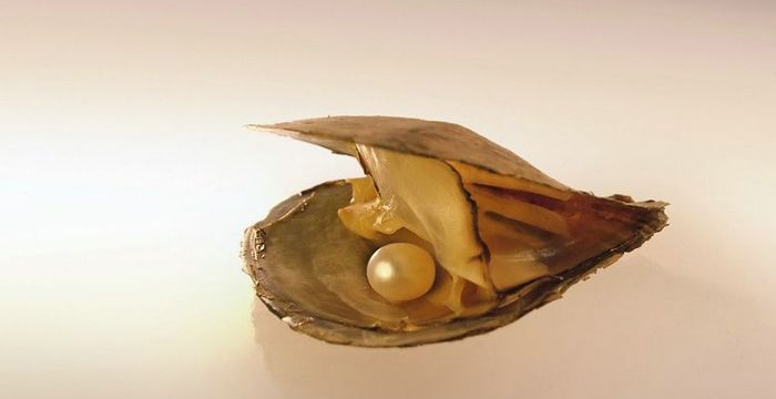 梦见珍珠蚌里得到了很多珍珠，梦见珍珠蚌里满是珍珠什么意思啊图2