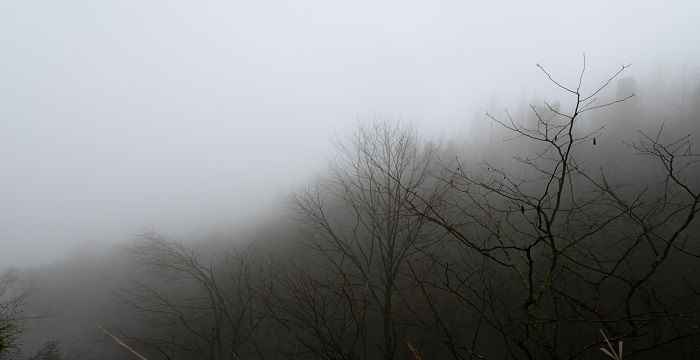 梦见大雾是什么意思，梦见大雾天气是什么意思图2