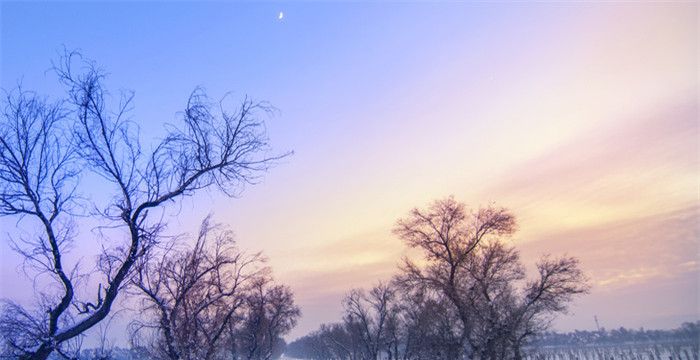 孕妇梦见铲雪预示着什么，孕妇梦见下雪了是什么意思图2