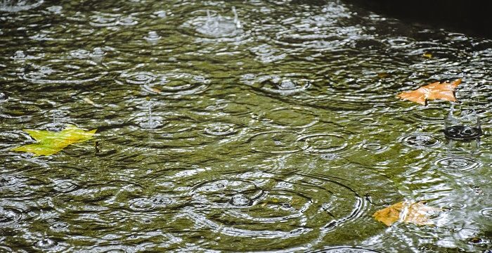 梦见积水，梦见下很大雨积成河流图2