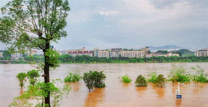 梦见朋友溺水身亡预兆，梦见别人溺水死了是什么预兆图1