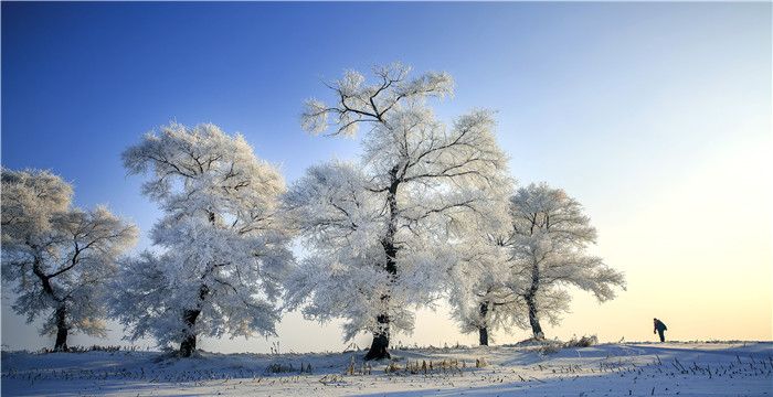 梦见在厚厚的雪里行走，梦见雪地行走雪很厚什么意思啊图2