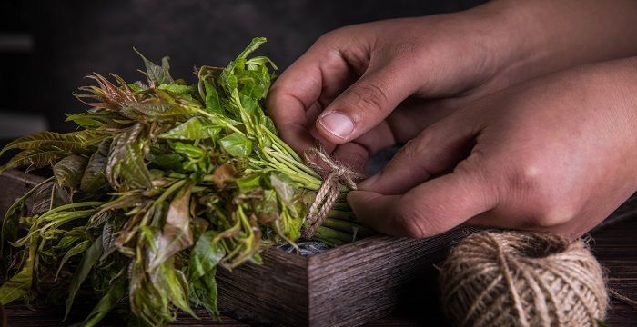 梦到和别人一起挖野菜，梦见和家人上山采野菜图1