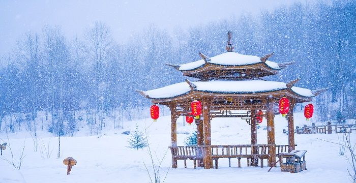 女人梦见白白的雪地图1