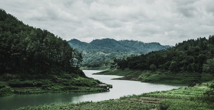 梦见车掉水里，梦见自己的车掉水里了什么征兆周公解梦图1