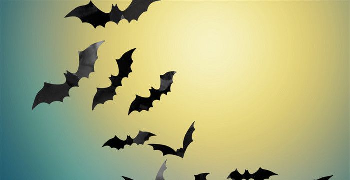 梦见蝙蝠成群满天飞，梦见家里进蝙蝠的真正预兆图2