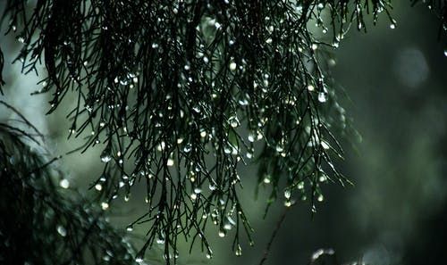 梦到大雨大水是什么意思，梦见下大雨发大水是什么预兆图2