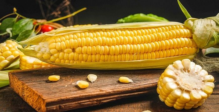 梦见去玉米地掰玉米，梦到玉米地掰玉米棒子图2