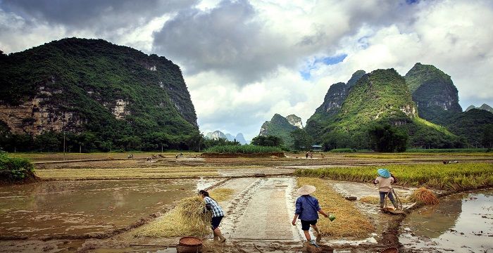 梦见和别人挖土干活图2