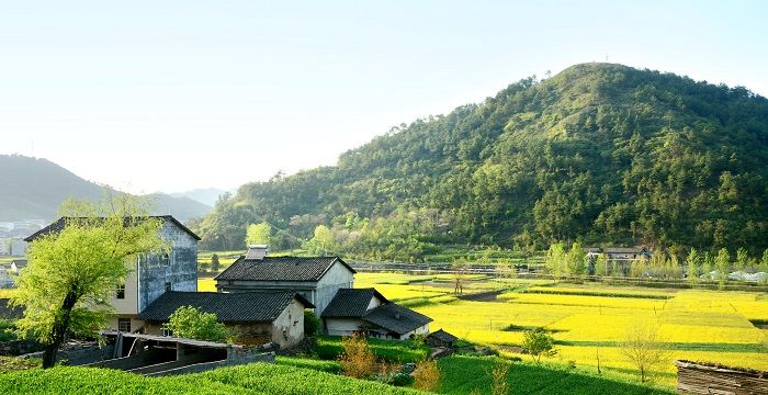 梦见自己来到陌生村庄，梦见走进陌生村庄出不来图1