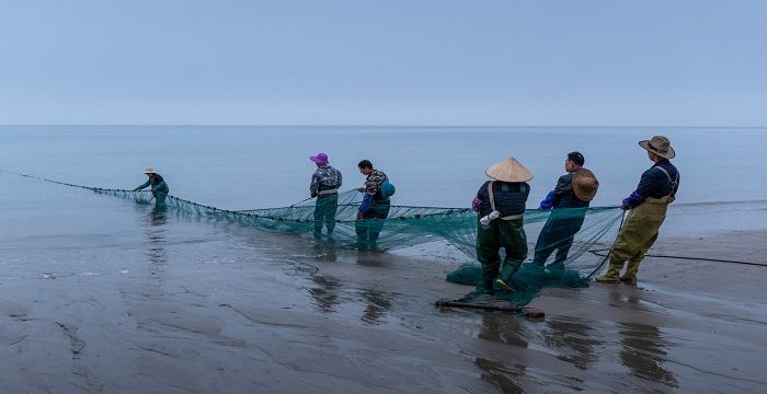 梦见下河摸鱼是何征兆，梦见摸鱼是什么意思有什么预兆图2