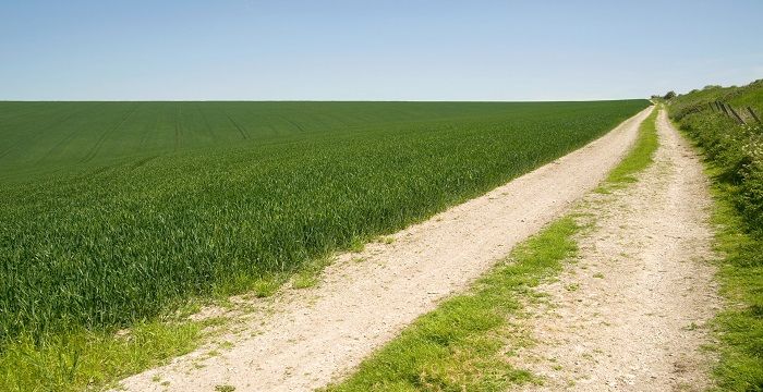 梦见路上全是泥巴难走路，梦见很难走的泥巴路的预兆图1