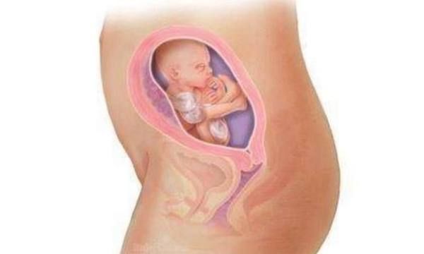 如何感觉自己怀孕了,怎么判断自己怀孕了图2