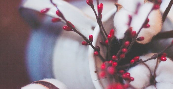 梦见棉花开的雪白，梦见很多棉花白花花的好不好图2