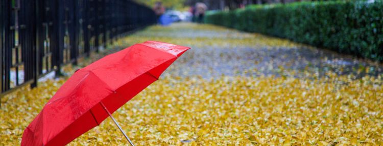 梦见伞坏了怎么是怎么回事，女人梦见雨伞坏了是什么意思图1