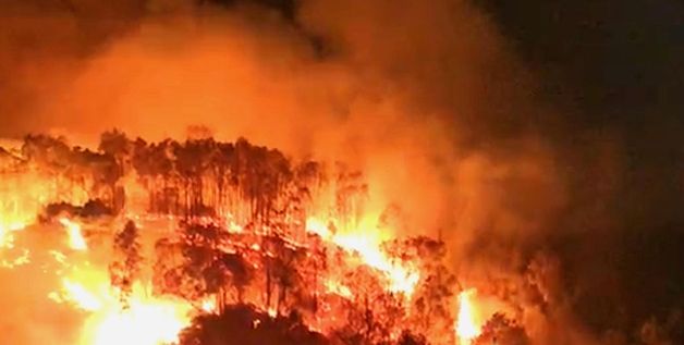 梦见山上着火了是什么意思，梦见山上发生火灾是什么意思周公解梦图1