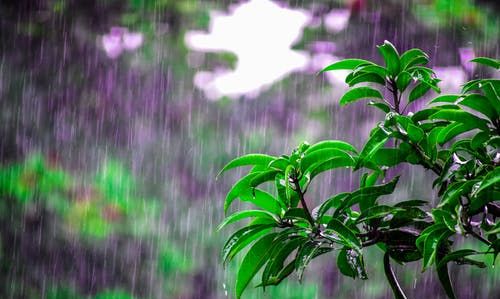 梦到下雨天什么意思，梦见下雨天有埋人的预兆图1