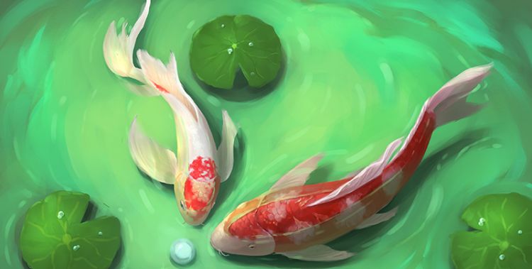 梦到锦鲤是什么意思，梦见好多大锦鲤在水里游图2