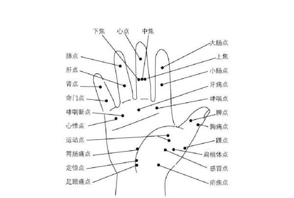 无名指是哪个经络,五指对应经络图图2