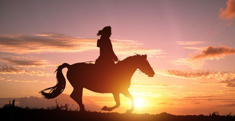 梦见自己骑马奔跑什么意思，梦见别人骑马奔跑是什么预兆图2