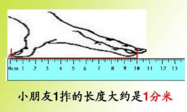 一分米等于多少厘米,一分米等于多少厘米的答案图1