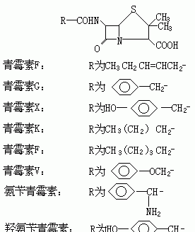 与氨苄青霉素抗性基因相比人体内的胰岛素基因特有的结构是什么