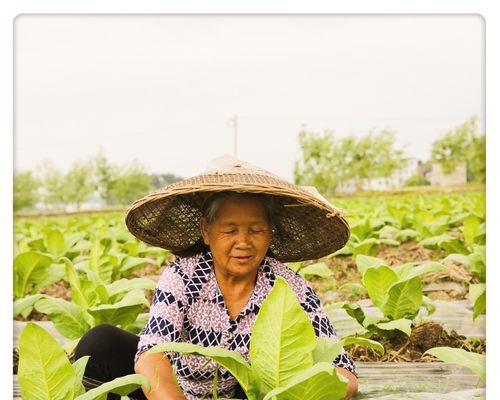 而立之年又如何,也不过三十而已什么意思