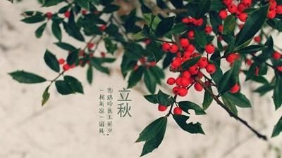 今年什么时辰立秋