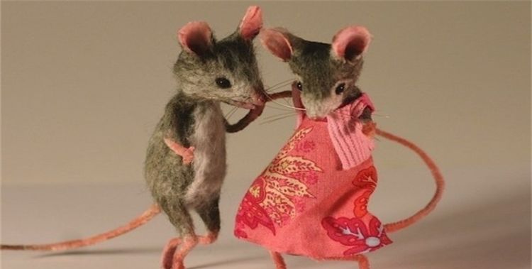 鼠和鼠相配婚姻如何，老鼠和老鼠相配婚姻如何呢图1