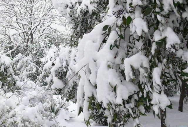 梦见下大雪是什么意思