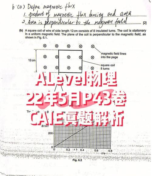 你觉得文章以血凝红叶为题目好吗为什么