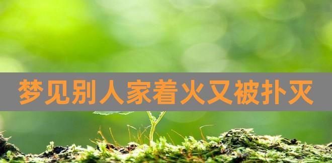 梦见着了火又扑灭了