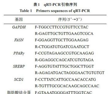 964拷贝数正常