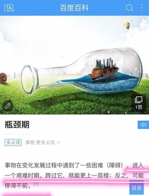 瓶颈是什么意思