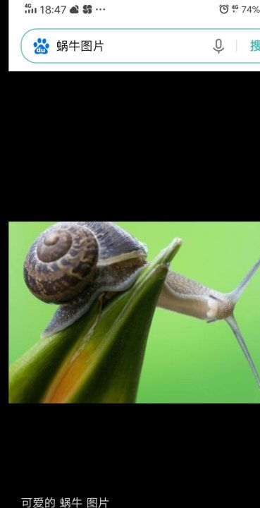 蜗牛在农业生产上是,蜗牛在农业生产上是什么虫图2