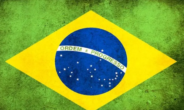 巴西人口多少亿人202,巴西人口202总人数口是多少亿图4
