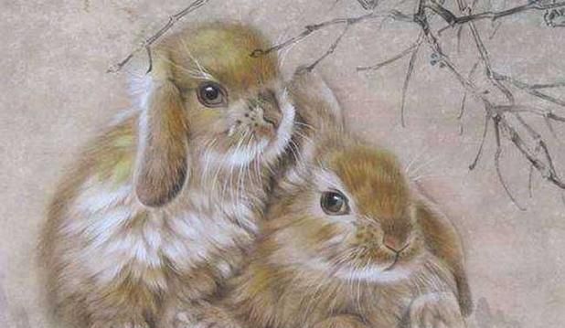 属兔的几月份出生最好属相是什么