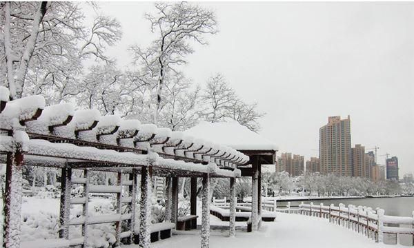 梦见下大雪是什么征兆