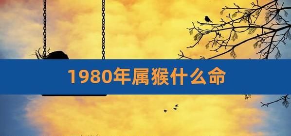 92年猴30岁后十年大运运程 闯出本人的一番新天地