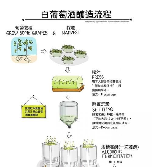 葡萄酿酒的制作方法和步骤