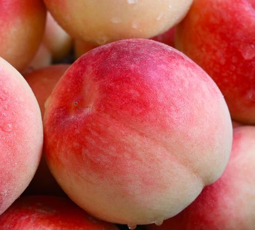 桃子属于什么类型的水果:核果类,无核类