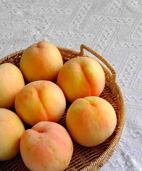 桃子是什么种类的水果