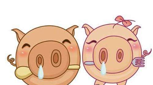 猪和猪属相配婚姻如何 属猪和属猪的婚姻怎么样